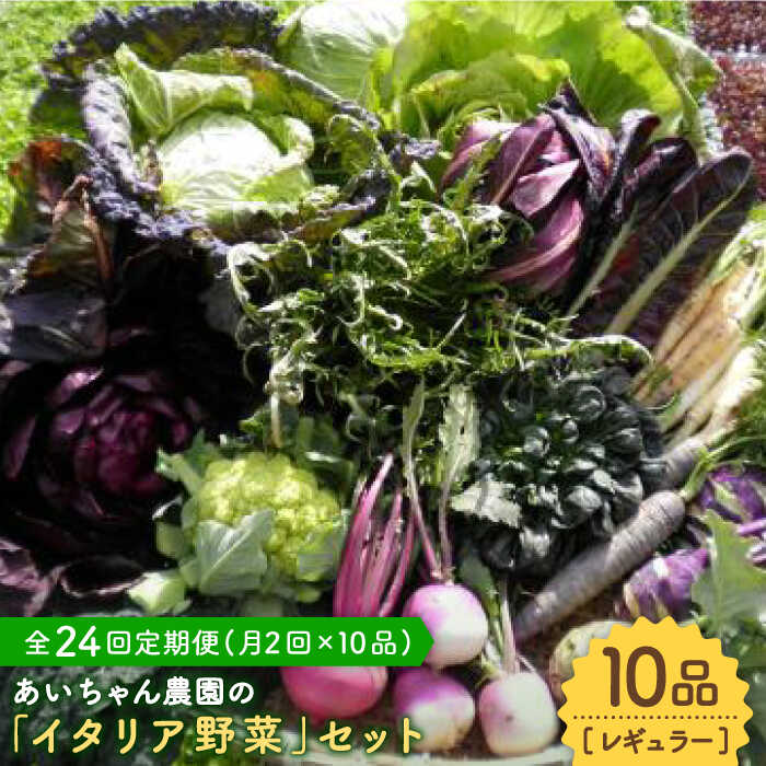 【10品×24回定期便】農薬に頼らない！カラダにやさしい「イタリア野菜」セット（レギュラー）【吉野ヶ里あいちゃん農園】[FAA019]