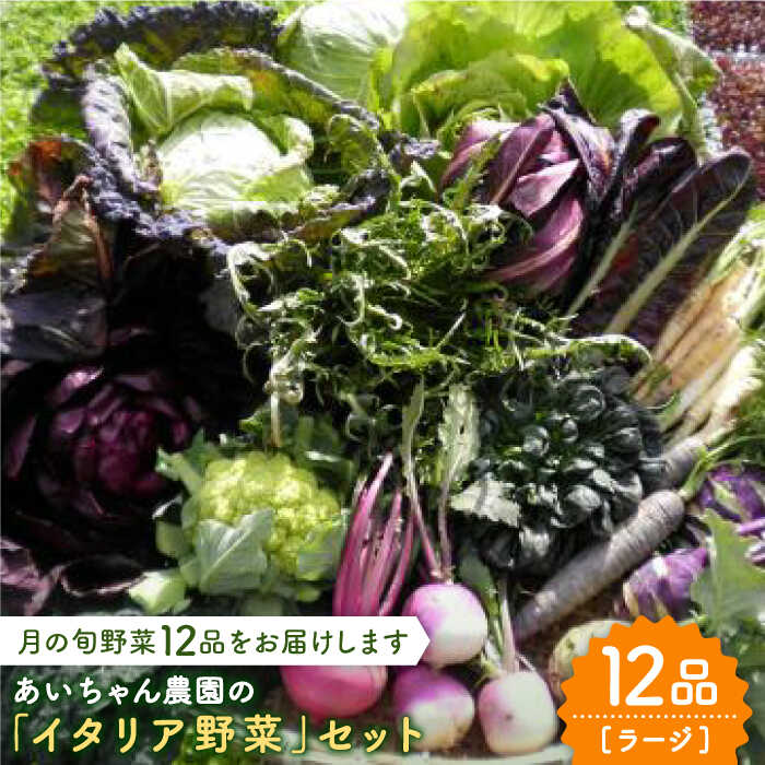 【12品】農薬に頼らない！カラダにやさしい「イタリア野菜」セット（ラージ）吉野ヶ里町/吉野ヶ里あいちゃん農園[FAA021]