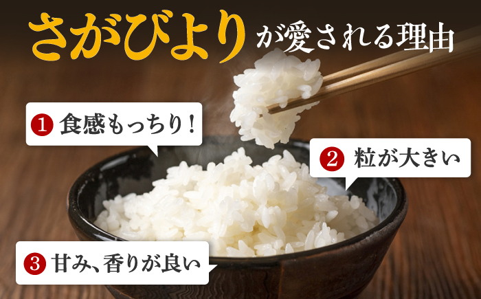 数量限定】【3回定期便】【令和5年産】さがびより 計15kg（5kg×3回