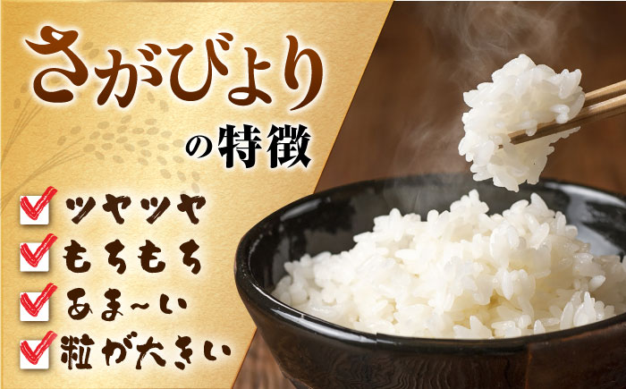 令和5年産 新米】【全5回定期便】特A獲得！さがびより 白米 5kg 総計