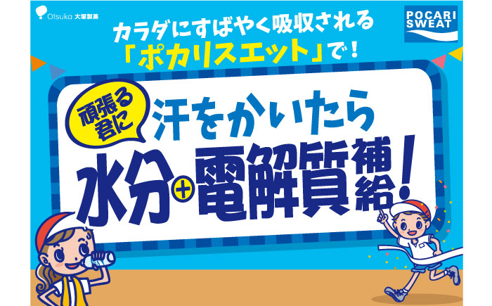 ポカリスエット 500ml×24本 イオンウォーター900ml×12本セット 大塚製薬株式会社/吉野ヶ里町 [FBD021]｜ふるラボ