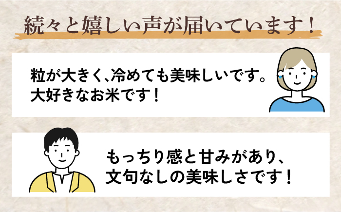 受付一時停止中〉【令和5年産】さがびより 5kg 【24年１月以降順次発送