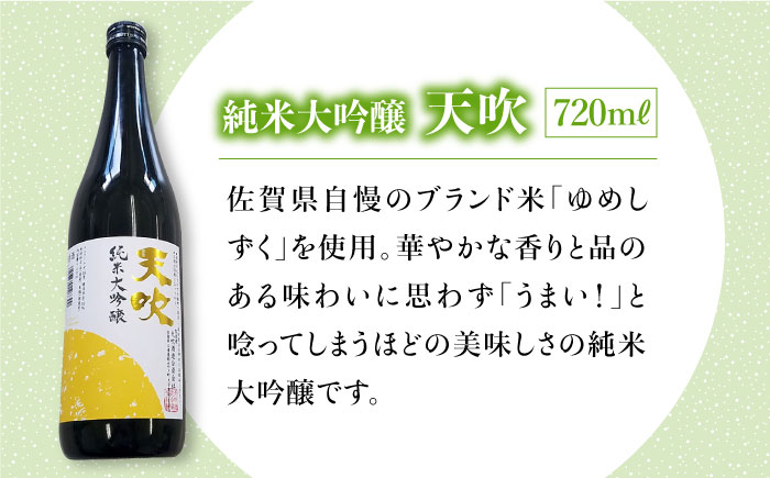 THE SAGA認定酒】天吹純米大吟醸・天山純米吟醸 720ml飲み比べセット