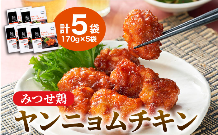 宅呑みに是非！＞みつせ鶏ヤンニョムチキン170g×5袋 ヨコオフーズ/吉野ヶ里町 [FAE123]｜ふるラボ