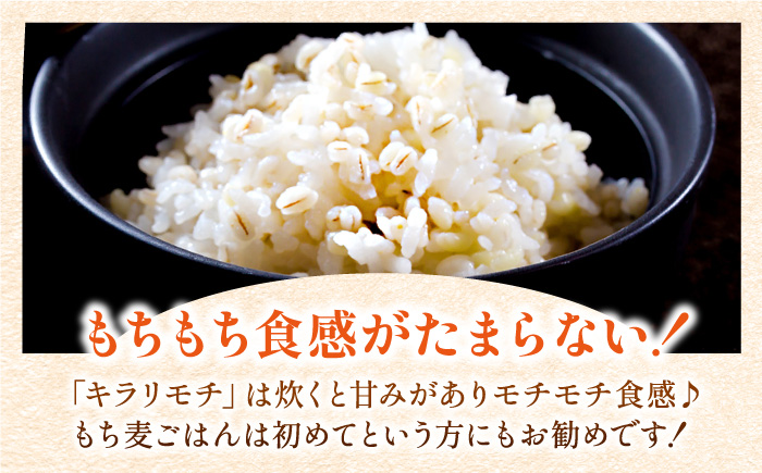 令和5年産】特A獲得！さがびより 玄米5kg ＆ 佐賀県産 もち麦2kg