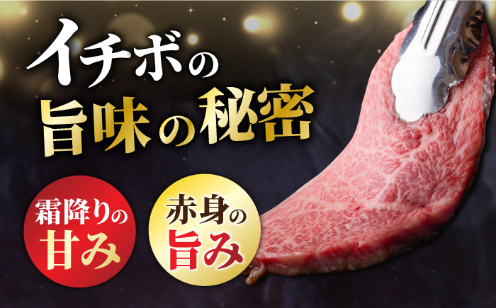 佐賀牛ホロホロ牛肉荒引ミンチ　人気通販　J742：佐賀県伊万里市