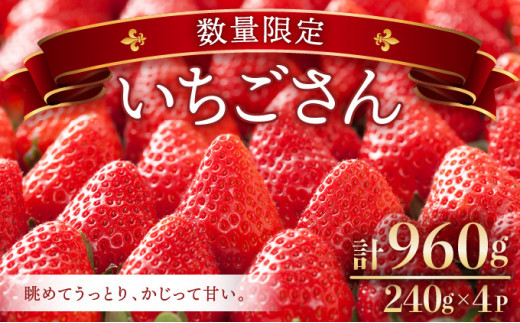 [先行予約]☆赤い宝石☆佐賀県産いちご 『いちごさん』 240g×4p