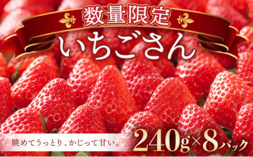 《先行予約》☆赤い宝石☆佐賀県産いちご 『いちごさん』 240g×8p