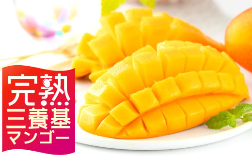 【完熟三養基マンゴー】アップルマンゴー 約1kg (3個入) C-538