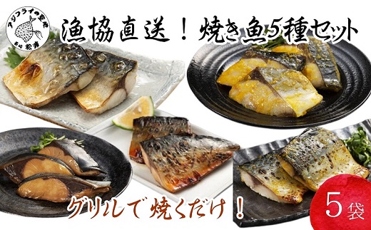 漁協直送！焼き魚5種5袋セット【B0-159】
