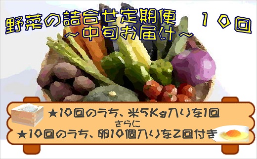米5kgと卵20個付き！野菜の詰め合わせ定期便10回(中旬)【定期便】【J0-001】
