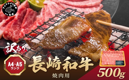 訳あり！【A4〜A5】長崎和牛焼肉用 500g( 牛肉 牛 和牛 国産 焼肉 おすすめ 赤身 美味しい バーベキュー プレゼント ギフト 送料無料 お取り寄せ )【B2-159】