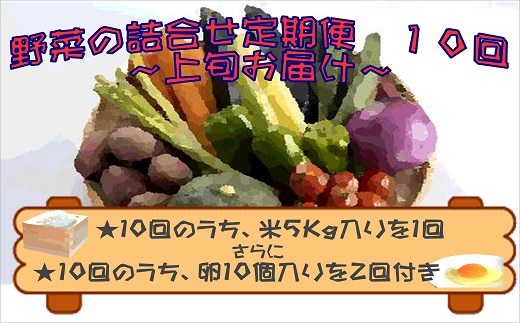 【I0-006】米5kgと卵20個付き！野菜の詰め合わせ定期便10回(上旬)【定期便】