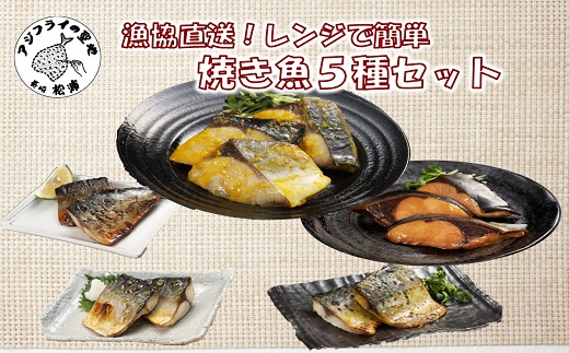 【B3-054】漁協直送！レンジで本格焼き魚5種セット