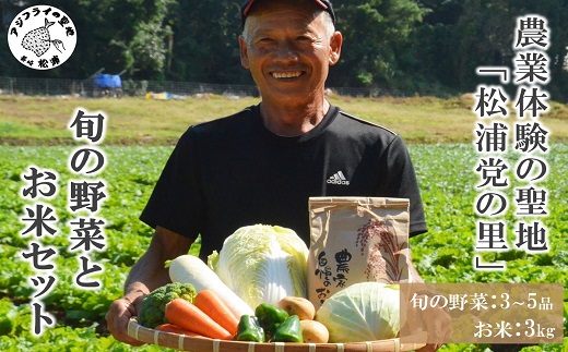 【B1-114】農漁村体験の聖地「松浦党の里」旬の野菜とお米(3kg)セット