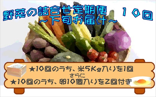 【I0-005】米5kgと卵20個付き！野菜の詰め合わせ定期便10回(下旬)