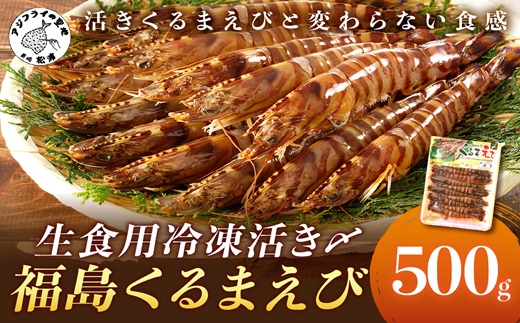 生食用冷凍活き〆福島くるまえび500ｇ【B2-134】