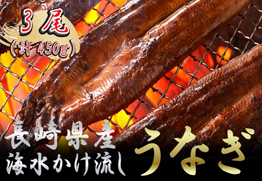 数量限定！海水かけ流しうなぎ蒲焼3尾【C5-013】