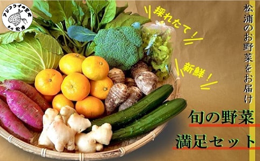 道の駅松浦海のふるさと館『旬のお野菜』の大満足セット！【A7-053】