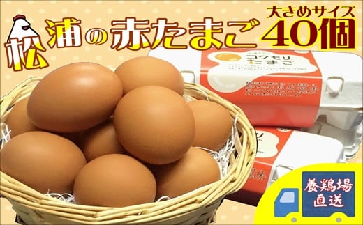 【B1-125】養鶏場直送!松浦の赤たまご(40個)