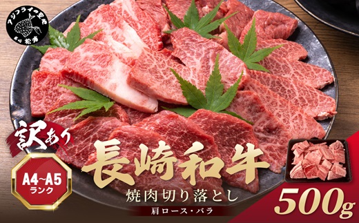 訳あり！【A4〜A5】長崎和牛焼肉切り落とし(肩ロース・バラ)500g( 牛肉 おすすめ 長崎和牛 バーベキュー 焼肉 切り落とし 冷凍 国産 送料無料 )【B1-145】