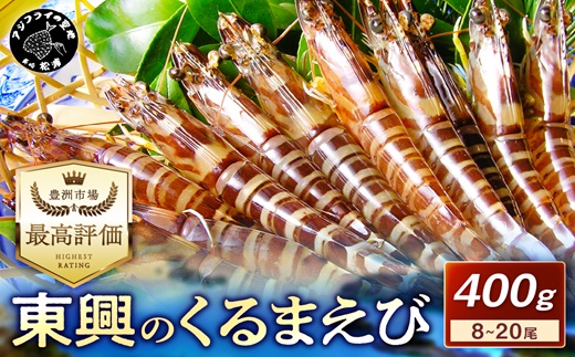 [先行予約][宅配BOX不可]東興のくるまえび400g入[B6-029]車海老 くるまえび 車えび 活きくるまえび 活き車えび えび エビ 養殖 刺身 塩焼き 天ぷら 常温 贈答用 松浦市 送料無料