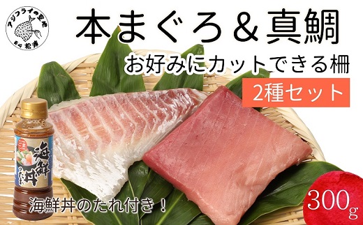 【B2-125】海鮮丼のたれ付！長崎県産本まぐろ＆ハーブ仕立ての真鯛　柵セット2種300g