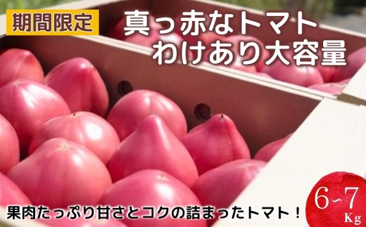 期間限定 真っ赤なトマトわけあり大容量6kg〜7kg