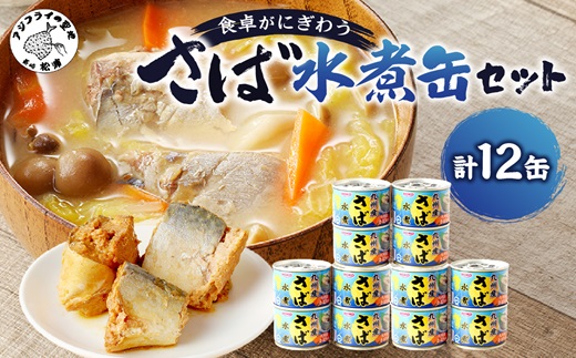 さば水煮缶セット(12缶)[B2-108] サバ さば 鯖 鯖缶 サバ缶 さば缶 缶 缶詰 魚 アウトドア BBQ バーベキュー キャンプ 常備食 緊急 災害 非常食 保存食 非常時 御歳暮 お歳暮 お中元 御中元 贈答 プレゼント 贈り物 ギフト 母の日 お母さん