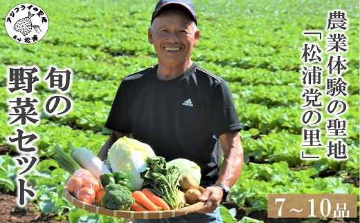 【B1-115】農漁村体験の聖地「松浦党の里」旬の野菜セット