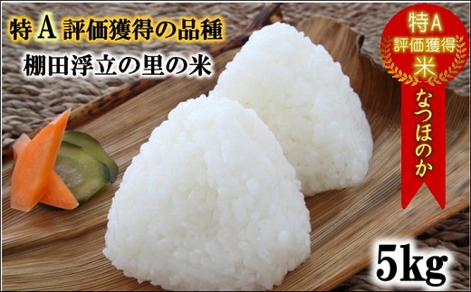 【令和6年産米】松浦の寒暖差が味の決め手!特A評価獲得の品種「なつほのか」棚田浮立の里のお米5kg【A8-012】コメ 米 なつほのか 白米 精米 国産 送料無料