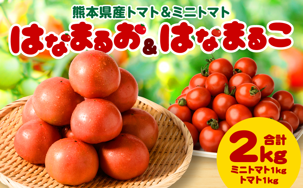 熊本県産トマト 1kg ＆ ミニトマト 1kg  合計2kg はなまるお ＆ はなまるこ