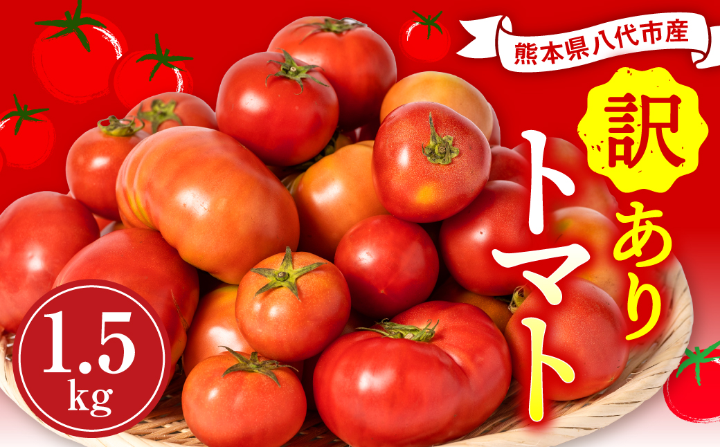 【順次発送】 【訳あり】 八代市産 規格外トマト 1.5kg 熊本県 トマト 野菜