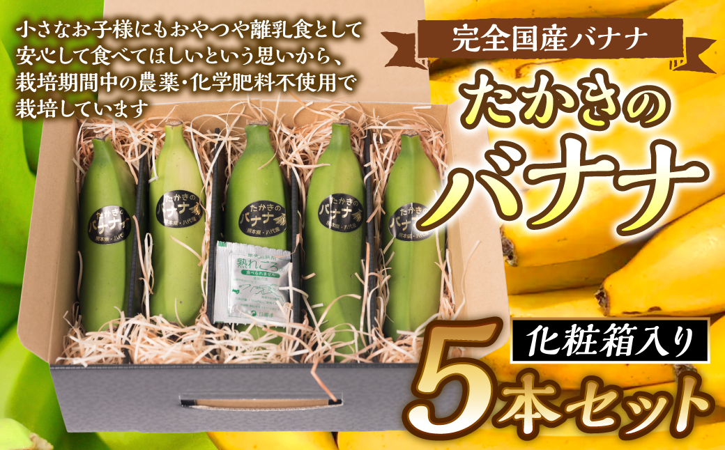 【先行予約】 たかきのバナナ 化粧箱 入り 5本 セット 【2024年6月上旬より順次発送】