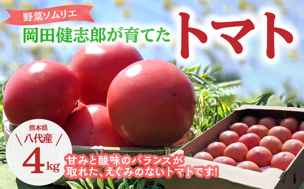 【先行予約】【定期便 3回】 野菜ソムリエ岡田健志郎が育てた トマト4kg 定期便トマト 野菜 熊本県八代市産【2024年12月上旬より順次発送】