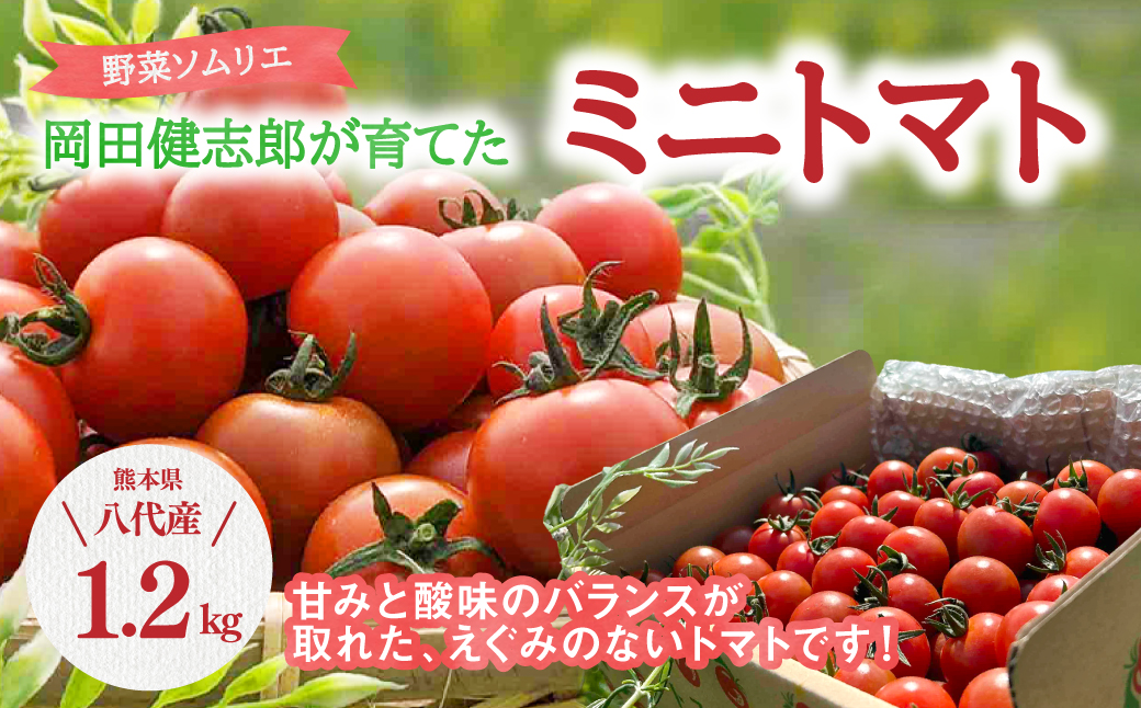 野菜ソムリエ岡田健志郎が育てた ミニトマト 1.2kg