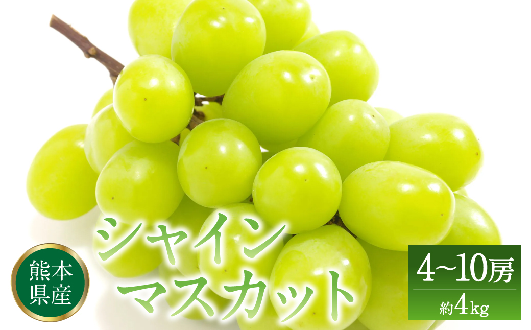  シャインマスカット 熊本県八代市産 4〜10房 約4kg 種無しぶどう ブドウ 葡萄 果物 くだもの たねなし