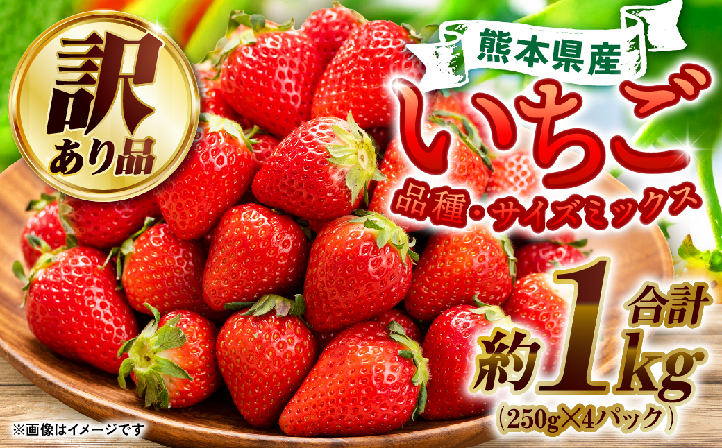 2024年3月上旬発送開始】【訳あり】 熊本県産 いちご 合計 1kg (250g×4