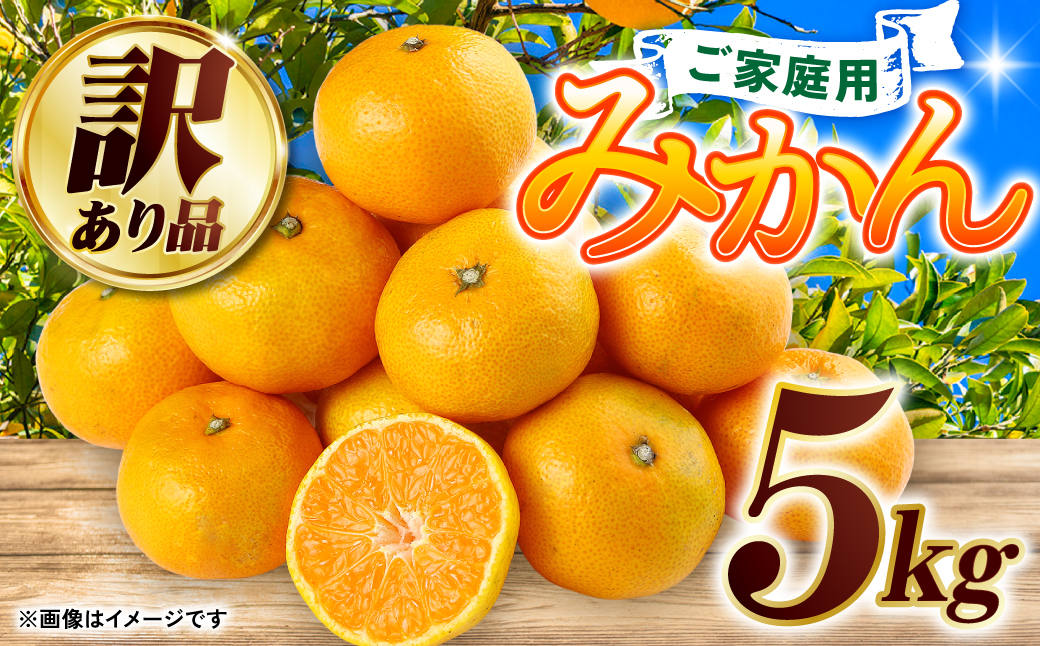 2024年1月発送】【訳あり】みかん5kg 熊本県産 訳あり 柑橘 ミカン