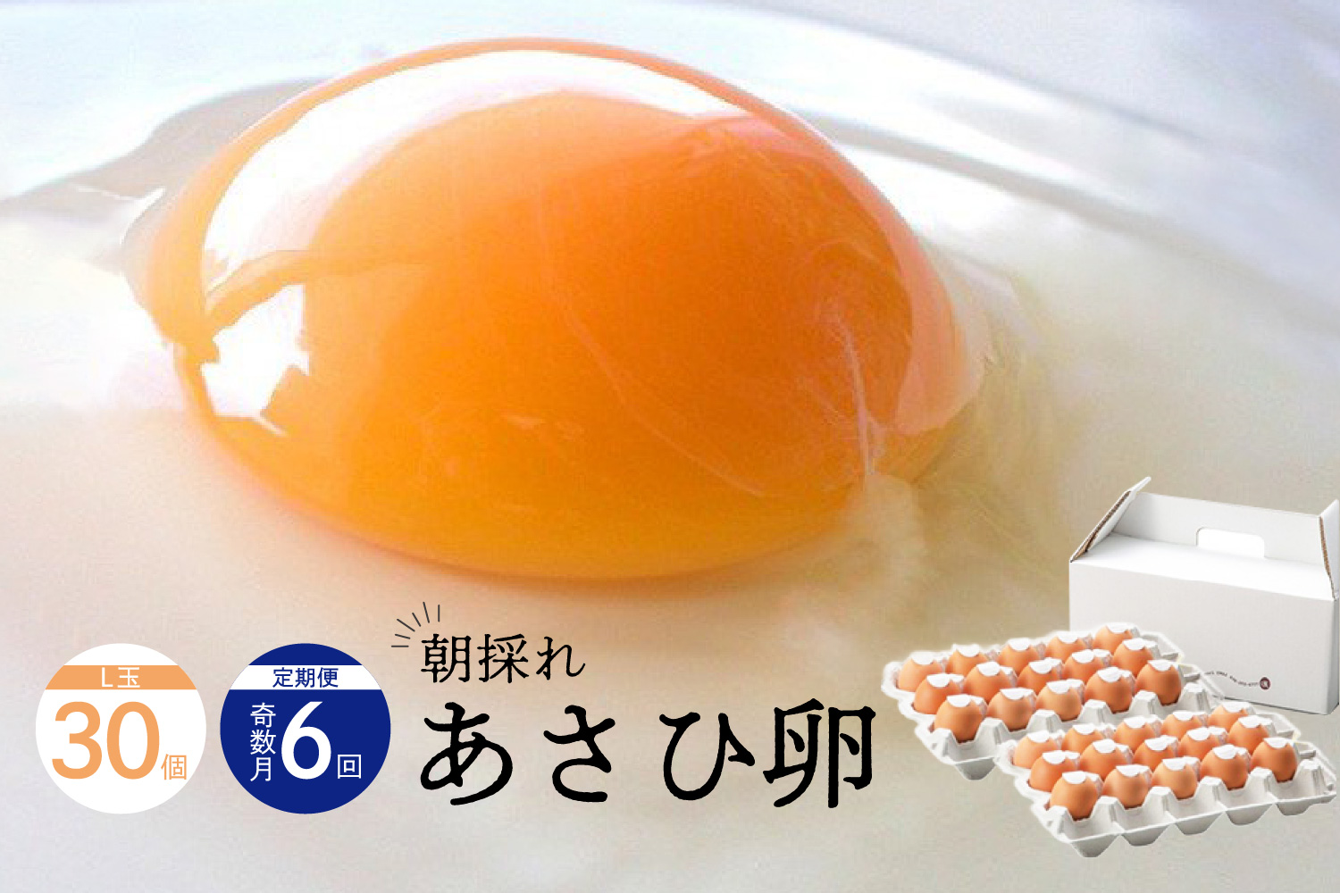 【定期便 奇数月 6回】卵かけごはん専用あさひ卵Ｌ玉サイズ×30個(25個+破損保証5個)