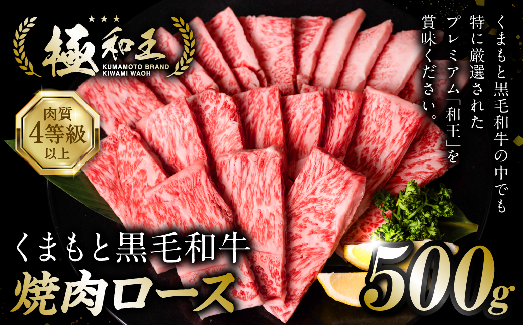 極和王シリーズ くまもと黒毛和牛 焼肉ロース 500g 熊本県産 牛肉