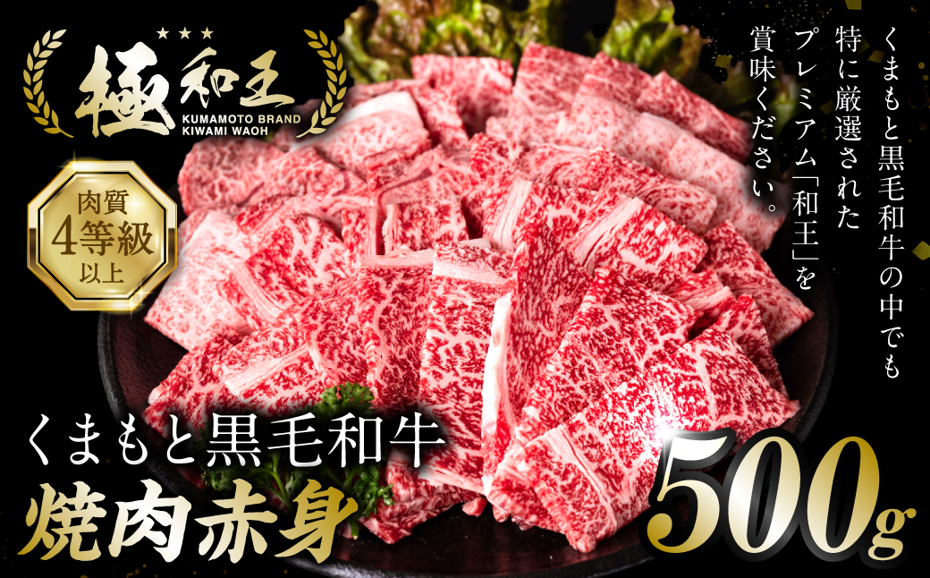 極和王シリーズ くまもと黒毛和牛 焼肉モモウデ 500g 熊本県産 牛肉