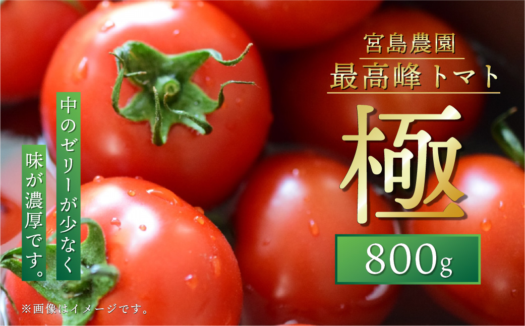 【先行予約】最高峰 トマト 極 800g 八代市産 宮島農園 【2024年2月3月限定】