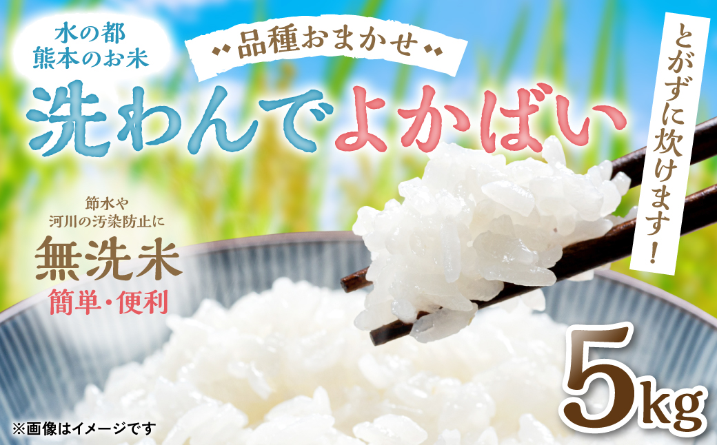 【令和5年産】 水の都熊本のお米 とがずに炊けます! 簡単・便利 無洗米 洗わんでよかばい5kg×1袋 精米 白米