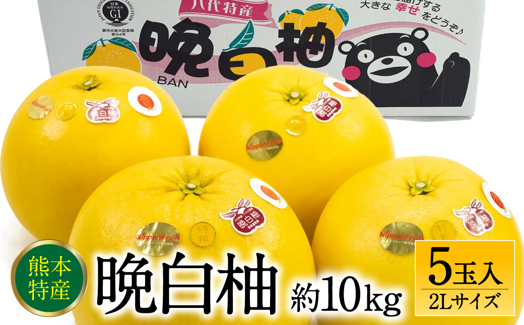 【先行予約】 晩白柚2Lサイズ 5玉入り 約10kg 【2024年12月中旬より順次発送】