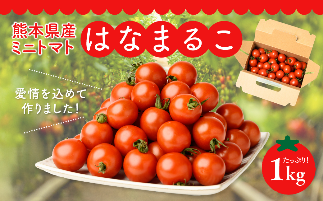 熊本県産 ミニトマト はなまるこ 1kg