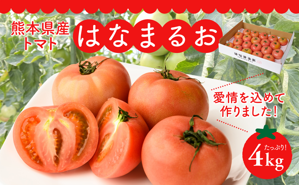 熊本県産 トマト はなまるお 4kg