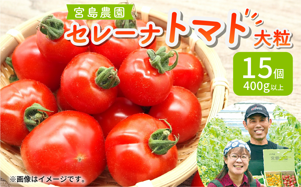 セレーナトマト 大粒 15個 400g以上 八代市産  宮島農園