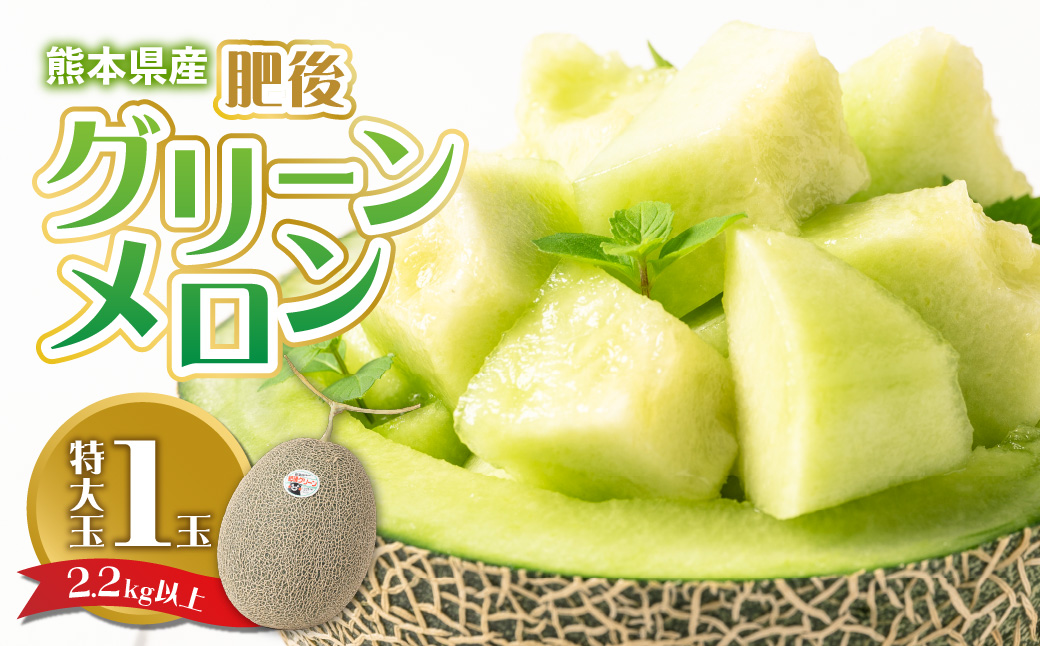 【先行予約】熊本県産 肥後グリーンメロン（特大玉1玉）2.2kg以上 メロン 果物 フルーツ【2024年6月上旬より順次発送】