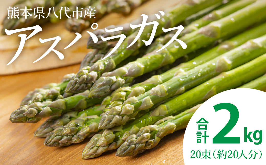 【先行予約】熊本県八代市産 アスパラガス 2kg やさい 新鮮 アスパラ【2025年4月上旬より順次発送】